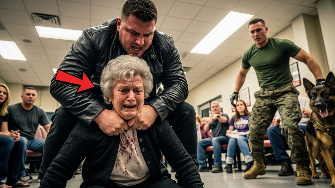 He tried to break an elderly woman inside a public clinic—unaware a Navy SEAL & K9 were in the room.