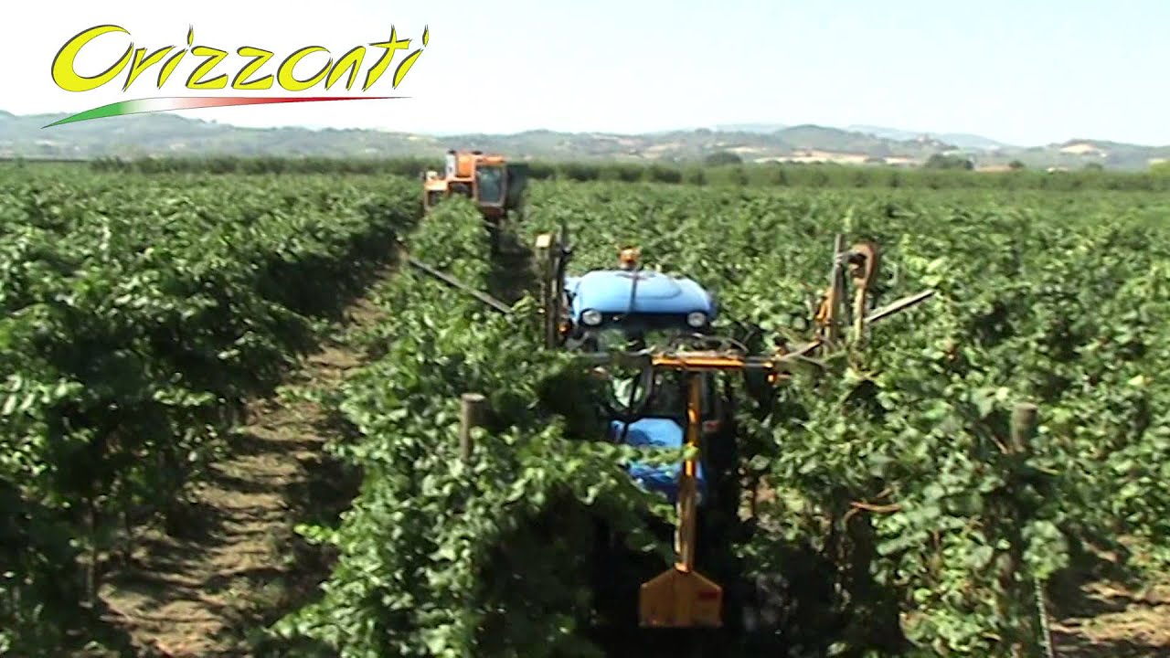 CIMATRICE DOPPIA FISSA MOD. CFT2/600 - ORIZZONTI S.R.L