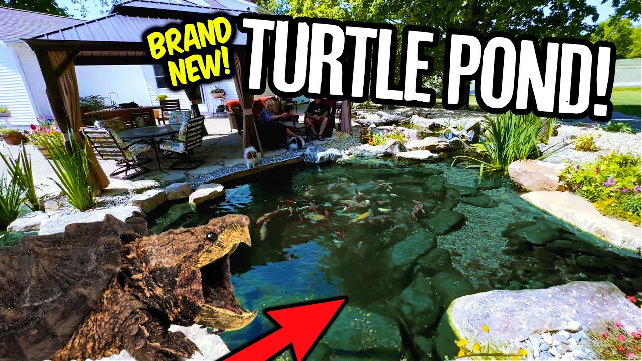 Невероятные черепашьи пруды Turtleman's