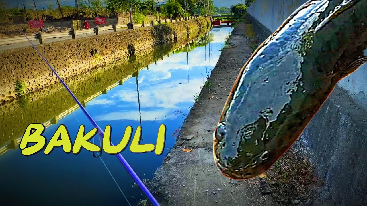 Taguig Urban Fishing: Nahuli ang Lihim ng Creek!