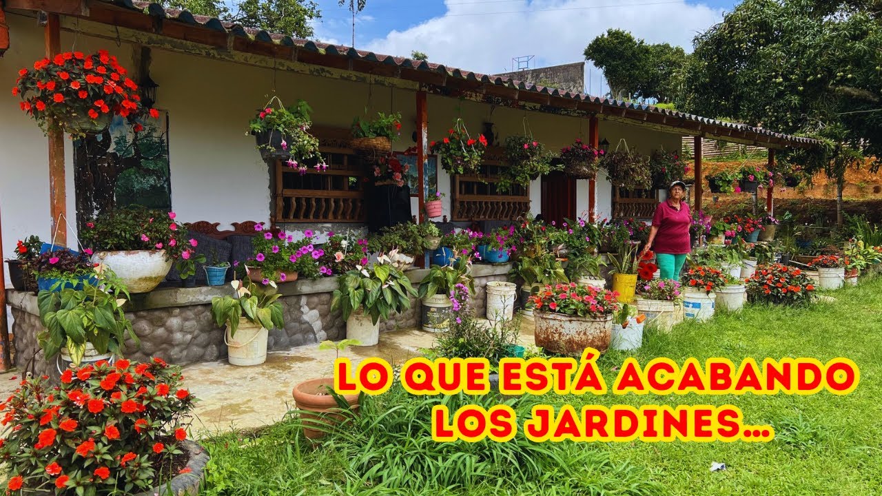 Hermoso JARDÍN de LUCECITA, alguien está matando sus PLANTAS, CUIDADO con este VENENO☠️ |AP
