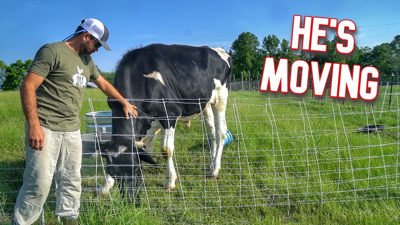 We Are Relocating Our Steer Moody, And It’s For The Better!