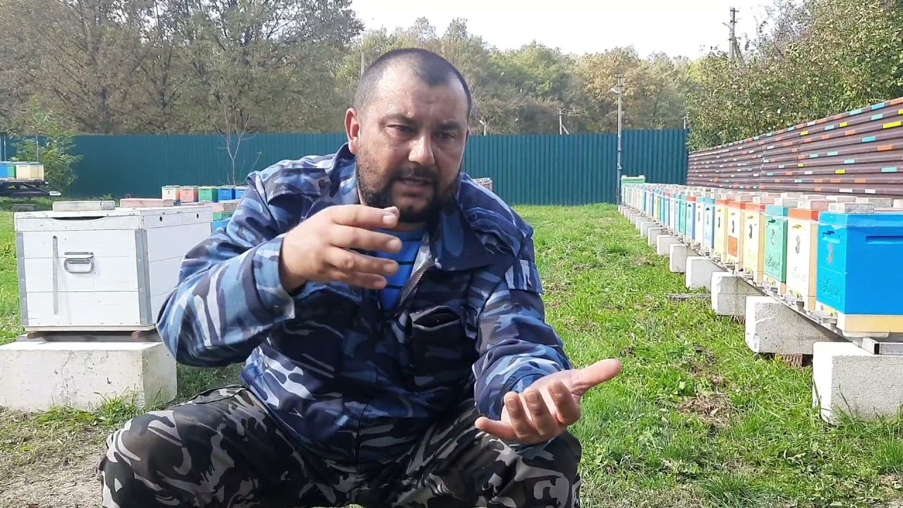 ИЗОЛЯЦИЯ МАТОК- НЕ ТАК ВСЁ ПРОСТО!!!!!