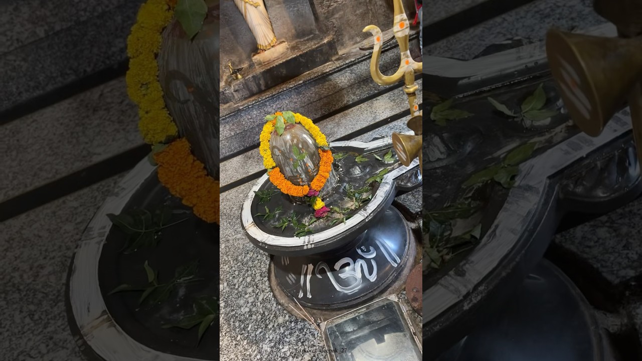 Pinakeshwar Mahadev Mandir Jategaon | Ram-कालीन Shivling | पूर्ण इतिहास & दर्शन 🔱🙏 #youtubeshorts