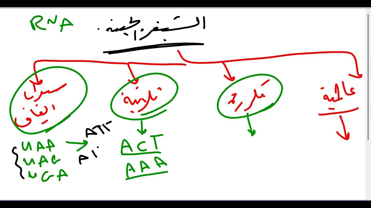 مراجعة الوحدات الاولى والثانية والثالثة أحياء صف 12