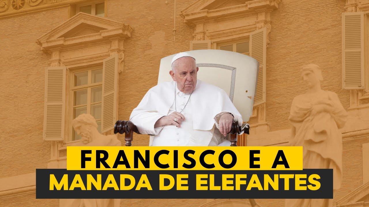 Francisco e a manada de elefantes