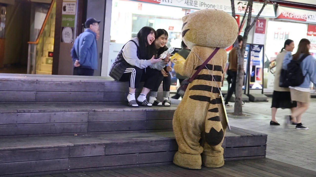 JHKTV] 신촌명물고양이 이게무슨일 shinchon special cat What is this?