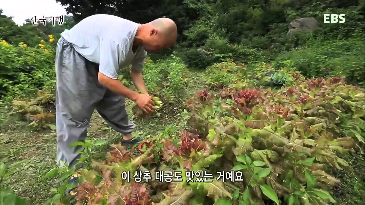 한국기행 - Korea travel_함양 1부-지리산 7암자의 여름_#001