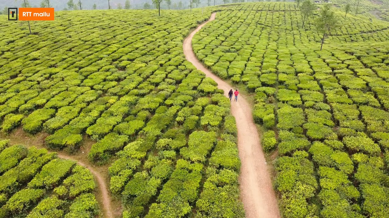 Athirappally valpparai PART 4  നല്ലമുടി പൂഞ്ചോല