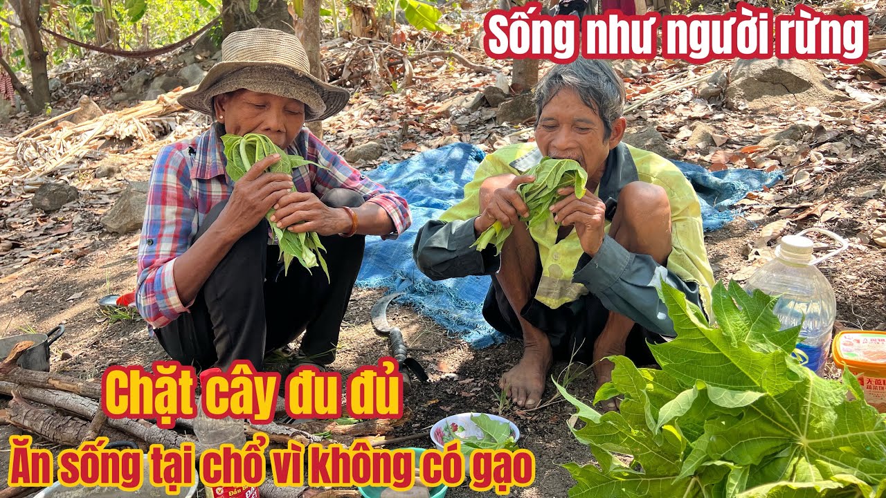 BẤT NGỜ trước cảnh hai vợ chồng ăn tất cả lá rừng để tồn tại trên vùng đất KHẮC NGHIỆT. Tập 139