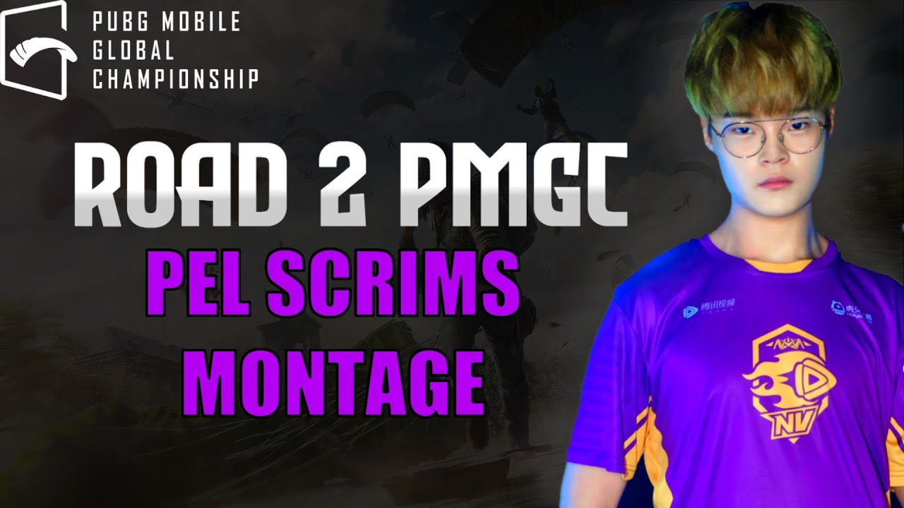 ROAD TO PMGC 2022 - PEL Scrims Montage NV Order