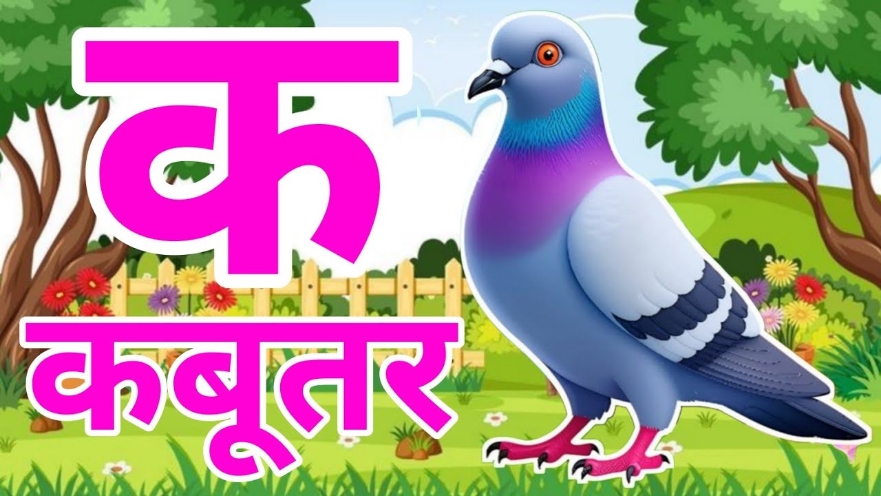 क से कबूतर - अ से अनार a se anar k se kabutar | Hindi varnmala ABCD क से कबूतर | अ से अनार, For Kids