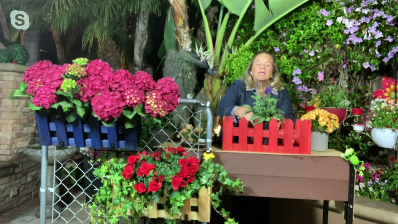 Ultimate Innovations Deck & Rail Hanging Wood Planter Box on QVC