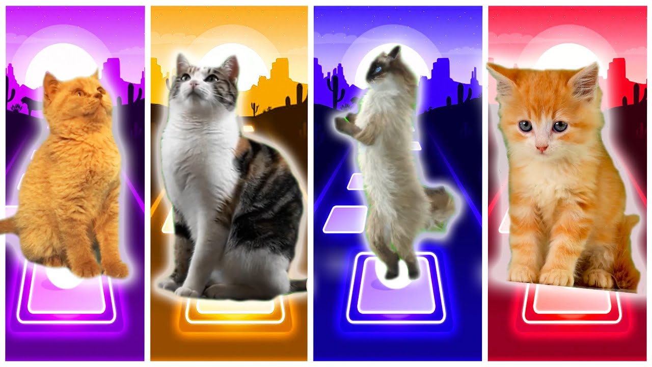 Cute Cats vs Cats vs Cats vs Cats  | Tiles Hop EDM Rush!