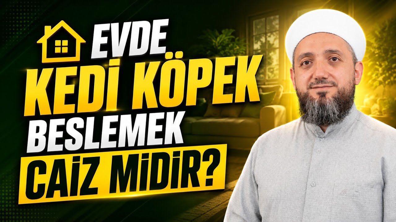 Evde Kedi, Köpek, Kuş, Balık Beslemek Caiz mi? Evde Hayvan Beslemenin Şartları?