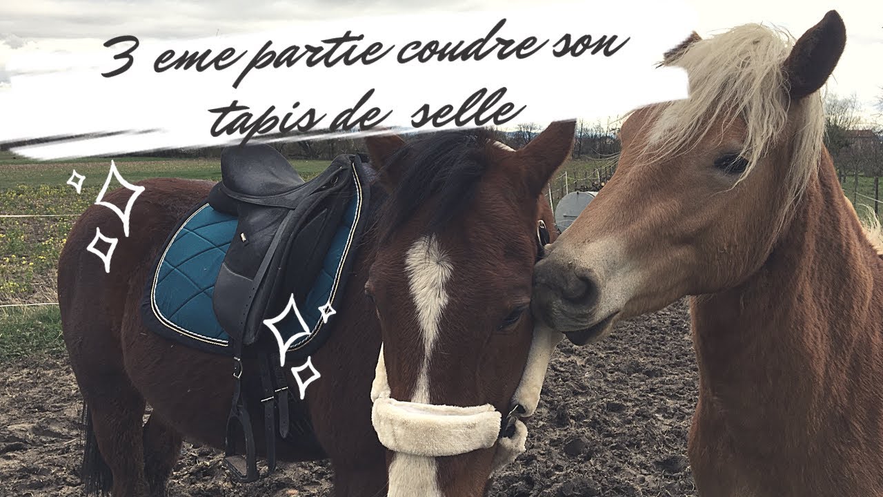 3ème et dernière partie: Coudre son tapis de selle 🦄