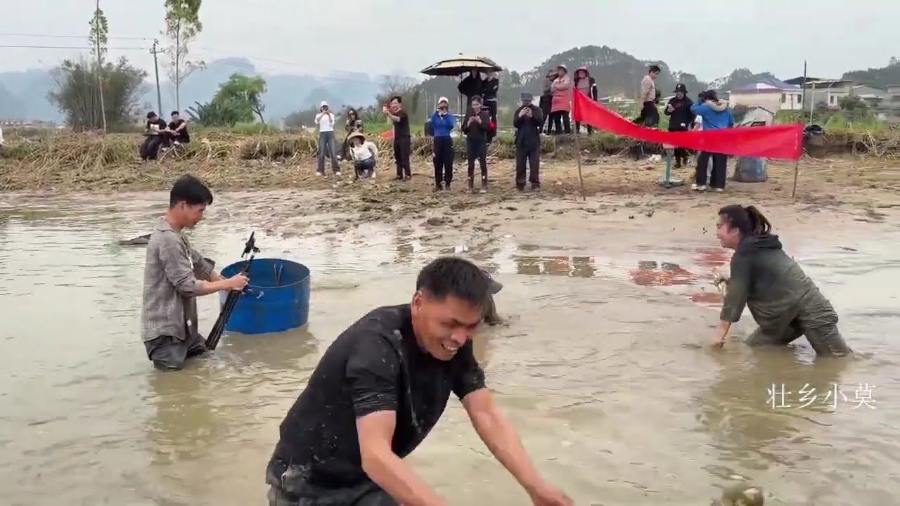 山野葡萄酒杯，乡村抓鱼比赛第二场，浑水摸鱼场面太刺激了