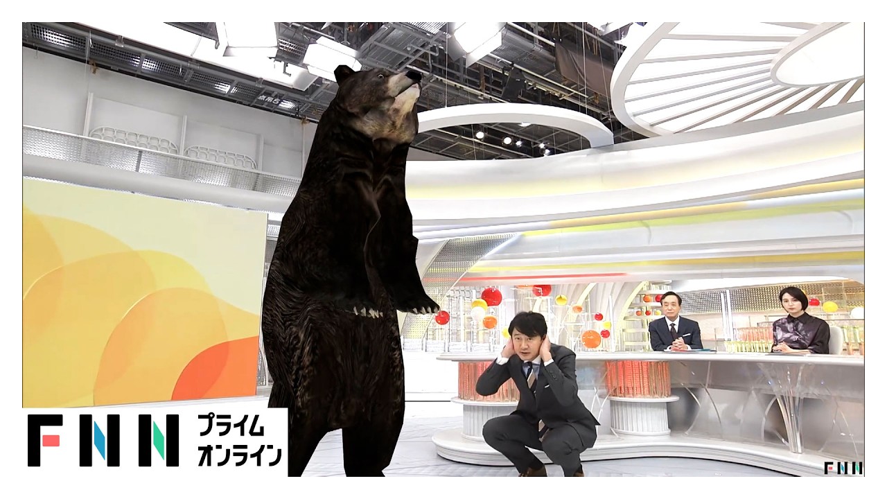 クマに大外刈りで九死に一生&hellip;生還者の共通点は「姿勢を低く」防御姿勢は「余裕なかった」が重傷化防ぐ効果アリ