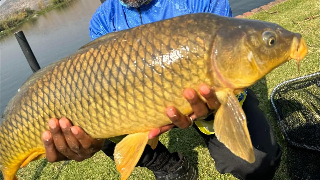 Fishing With MrT: Massive Catches at IFAFI