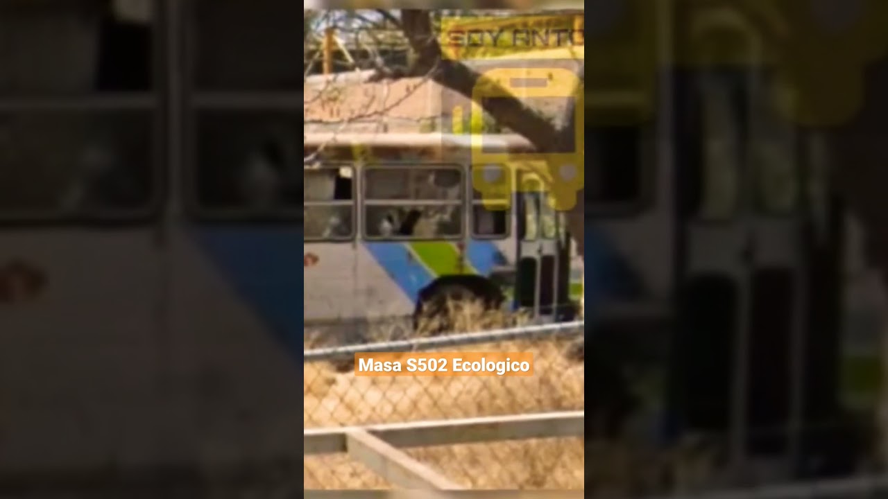 Autob&uacute;s MASA S502 ecologico