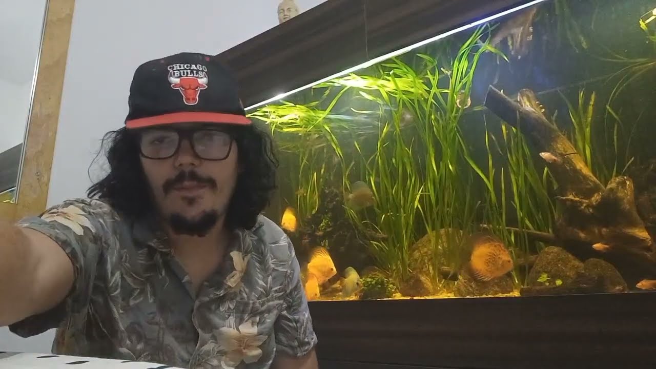 FORMATO NOVO DE VÍDEO 