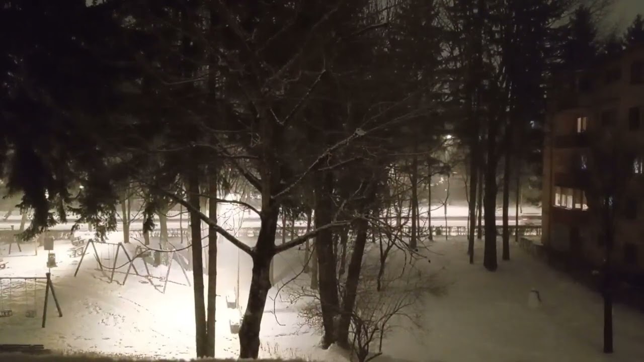 REVINE NINSOAREA LA BRAȘOV PE 20 FEBRUARIE 2026