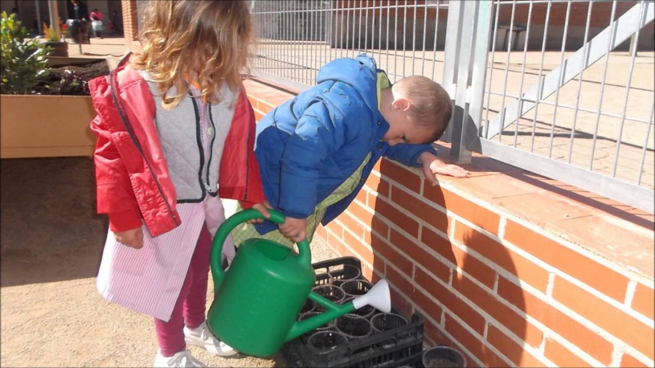 VIDEO REPOBLEM EL BOSC