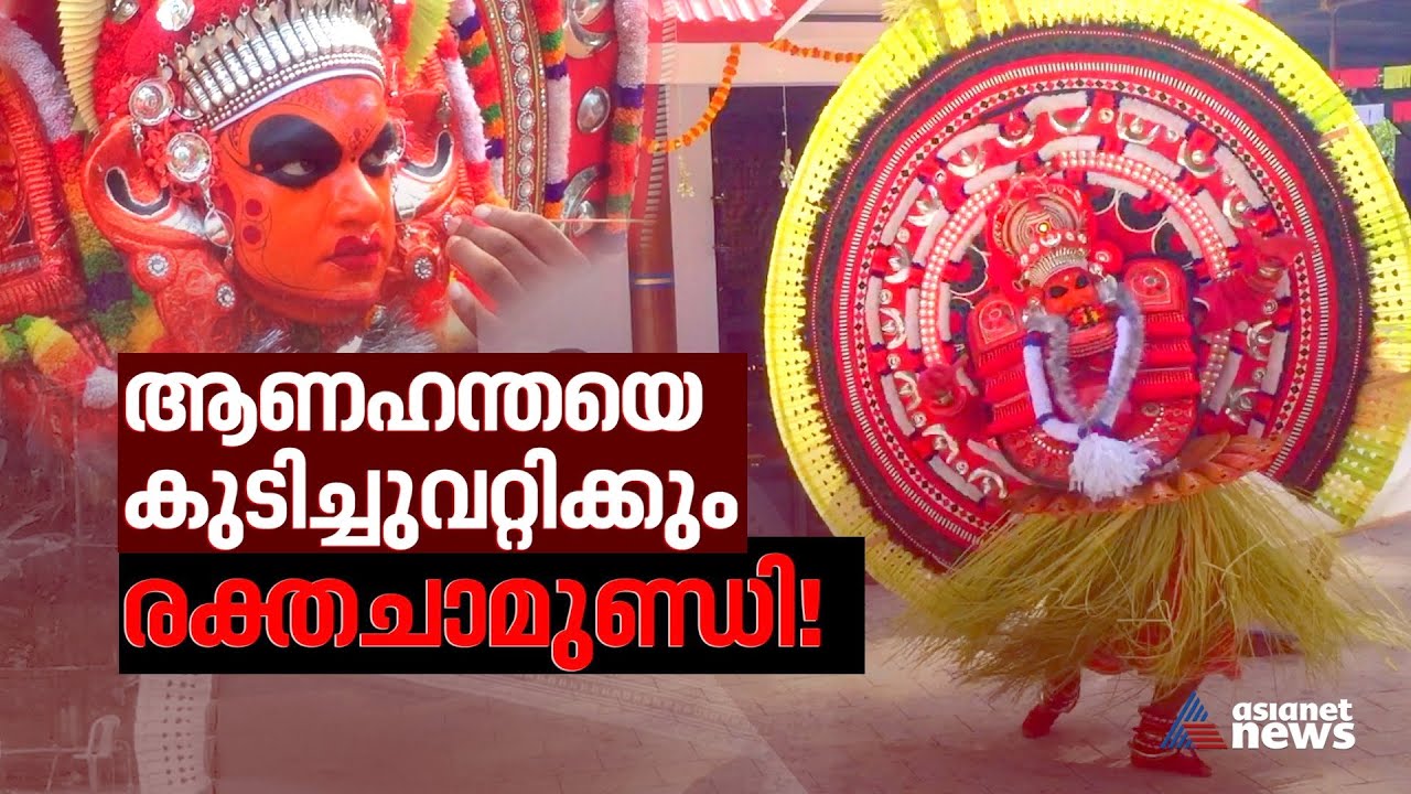 മലയന്റെ മെയ്യേറി ഉറഞ്ഞാടുന്ന അമ്മത്തെയ്യം-രക്തചാമുണ്ഡിയുടെ കഥ | Raktha Chamundi Theyyam