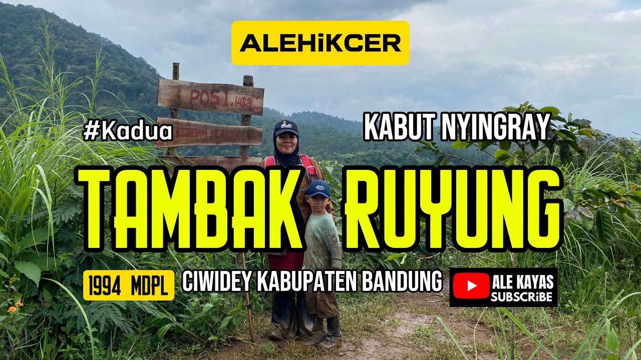 Detik-detik Kabut Terbuka! Keajaiban di Puncak Gunung Tambak Ruyung Ciwidey | ALE KAYAS / Kadua
