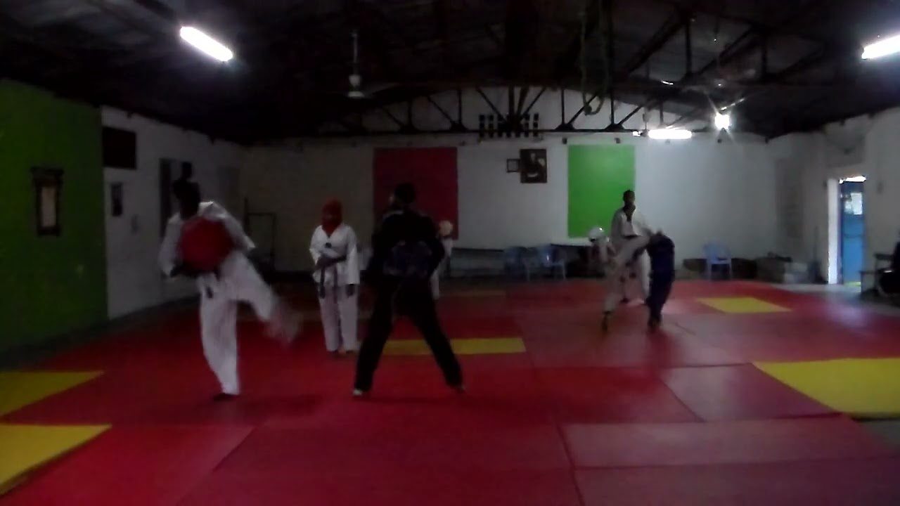 Feb 15 2026 REF LEX I On Day ONE 1 Intro R1