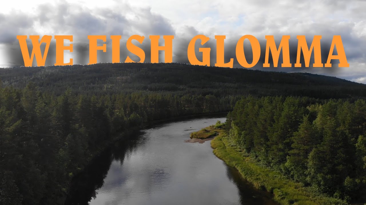 WE FISH GLOMMA