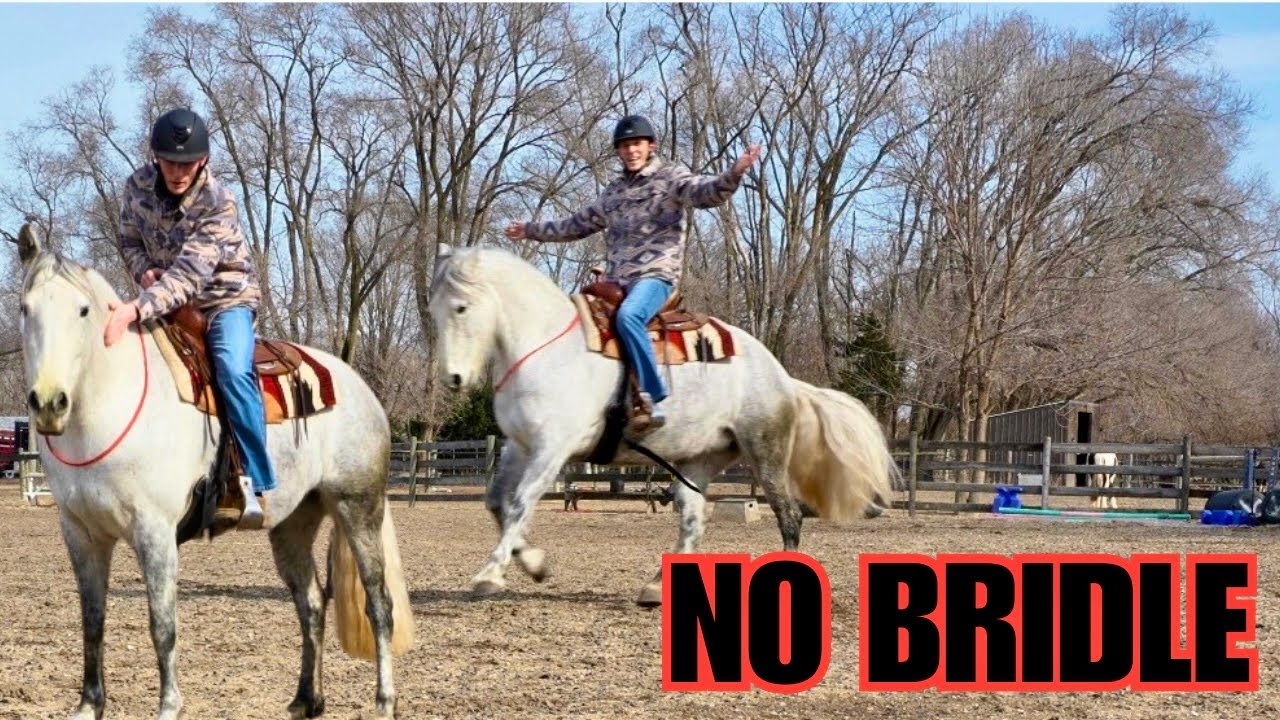 They Said She Was Untrainable… So I Rode Bridleless