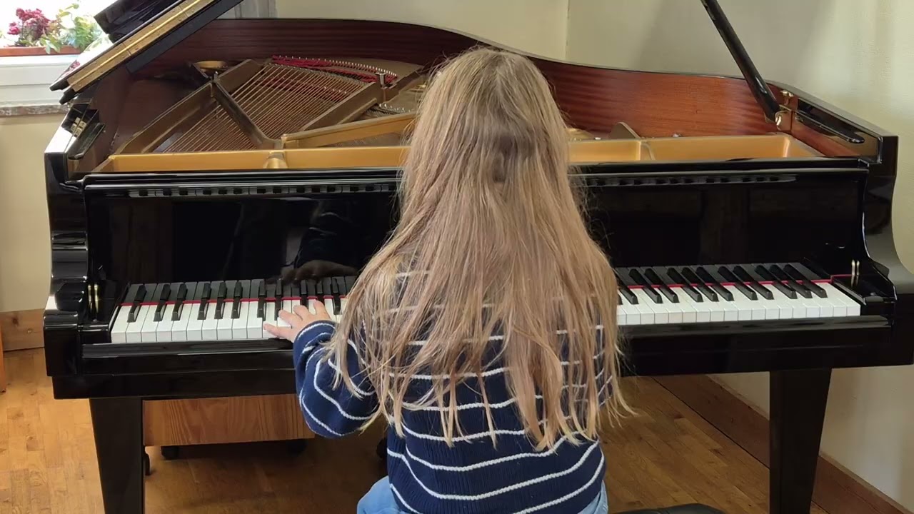 Daniel Hellbach Variations
