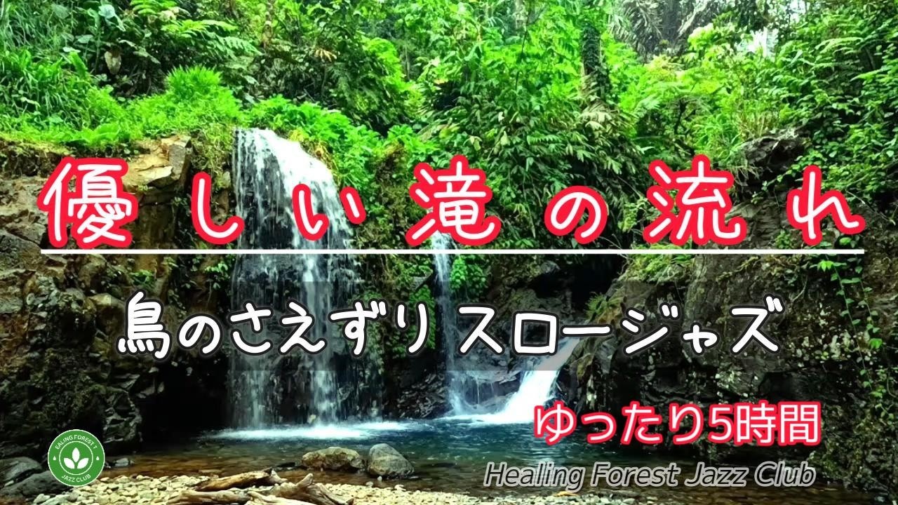 【ゆったり5時間】癒しの森でリラックス ＃579α / 優しい滝の流れ / 鳥のさえずり / スロージャズ / 癒しBGM