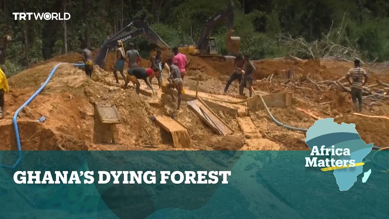 Africa Matters: Mining and logging threaten Ghana forests