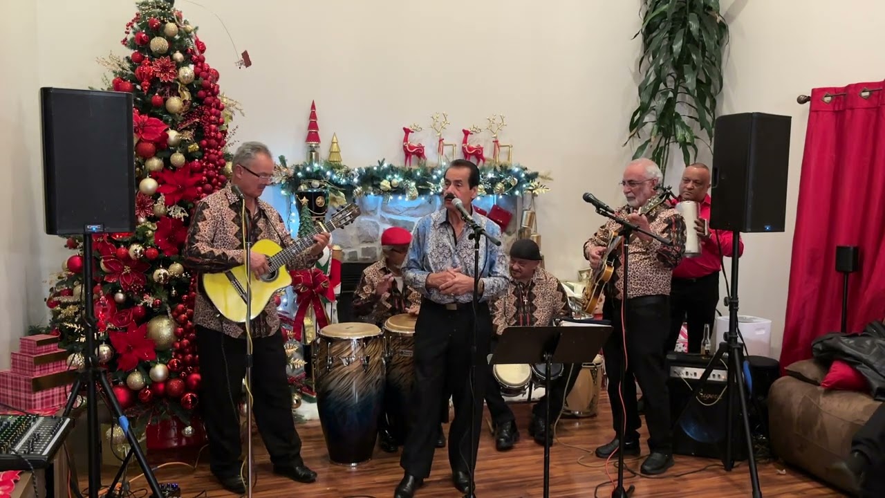 Los Inolvidables - Musica Jibara 2024 #2