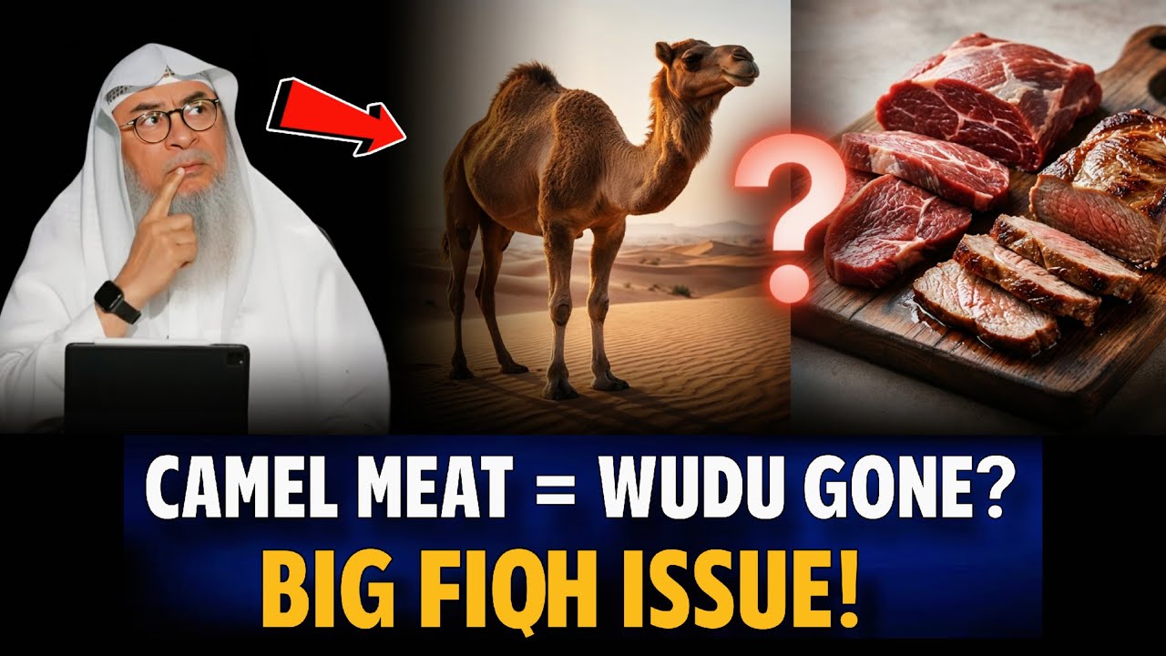 Does Camel Meat Really Invalidate Wudu? The Fiqh Debate Explained | Assim Al Hakeem | Sheikh Asim