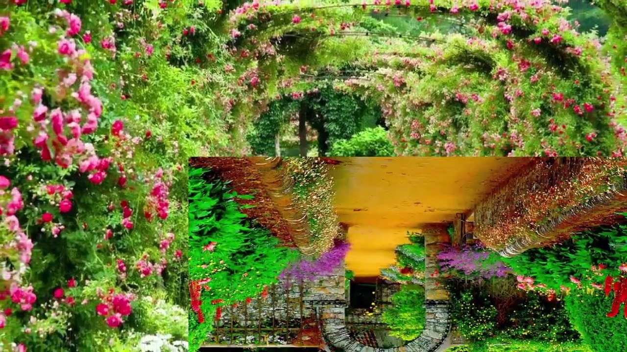 Flower Gardens