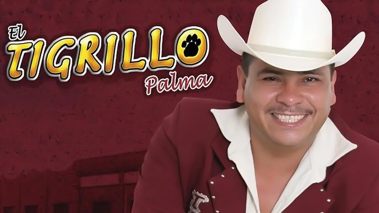 El Tigrillo Palma 💥 Mix De Exitos 💥 Corridos Perrones Mix