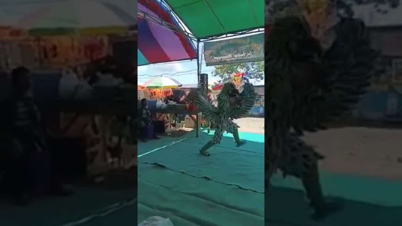 seni tari jaranan dari jawa timur #jaranan #tarijaranan #shortvideo