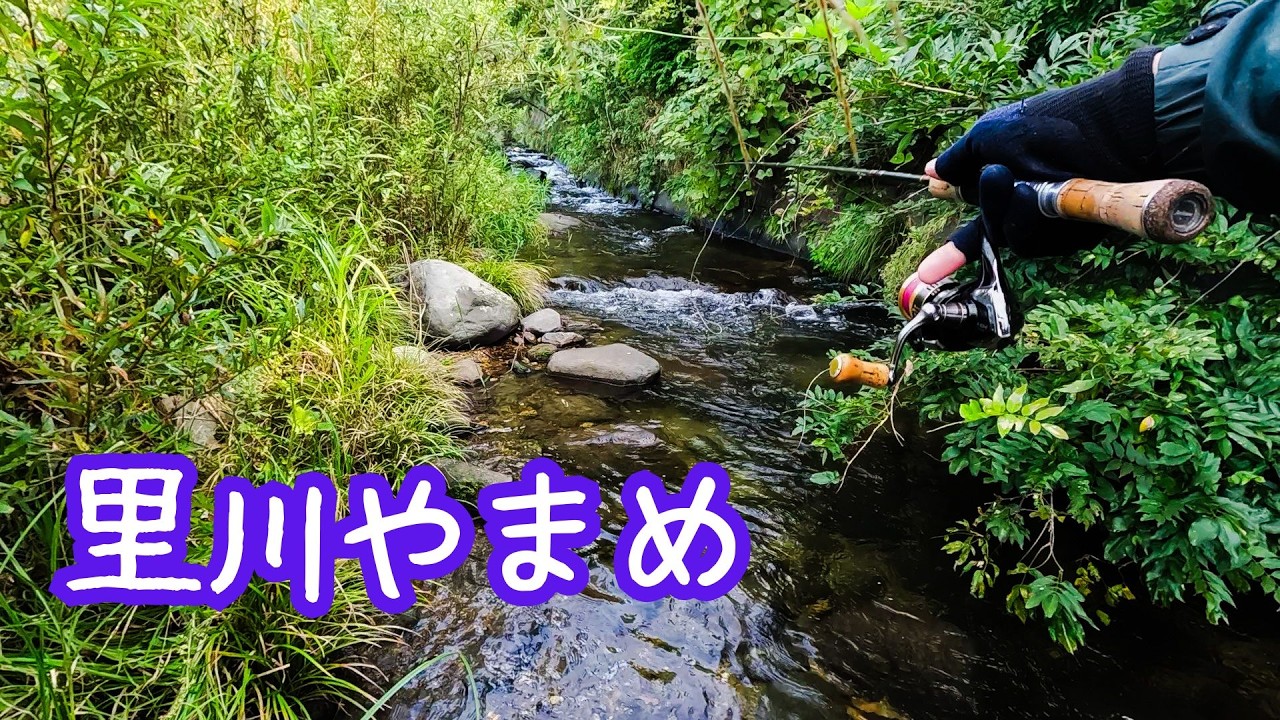 【渓流ルアー】早秋の里川ヤマメ釣り