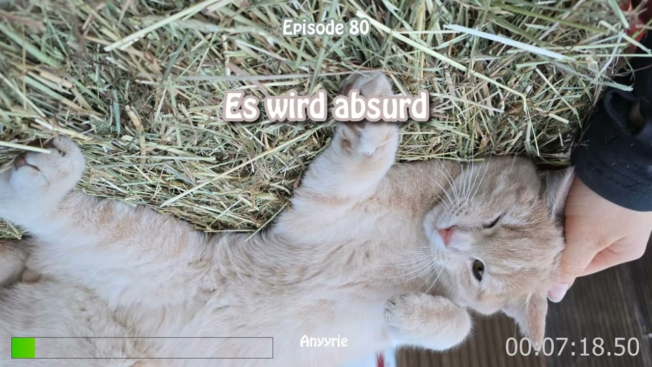 Es wird absurd