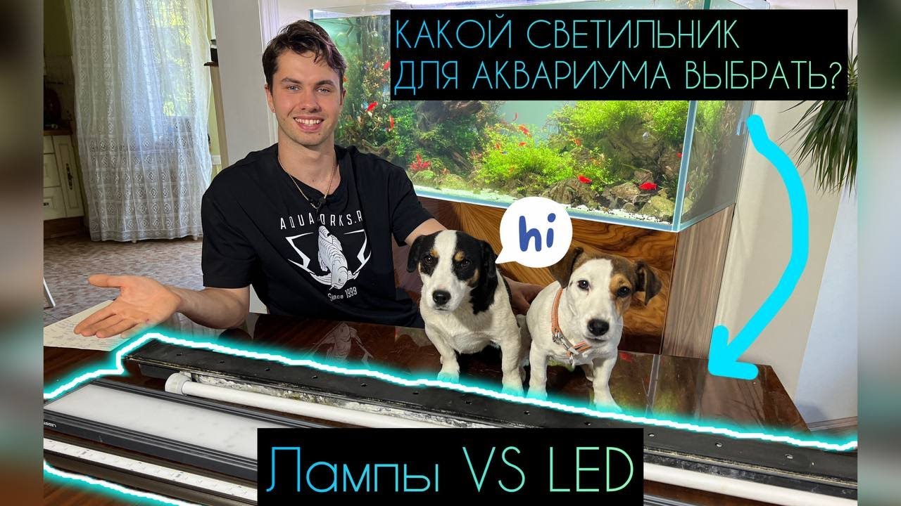 ЛУЧШИЙ АКВАРИУМНЫЙ СВЕТ. СРАВНЕНИЕ
