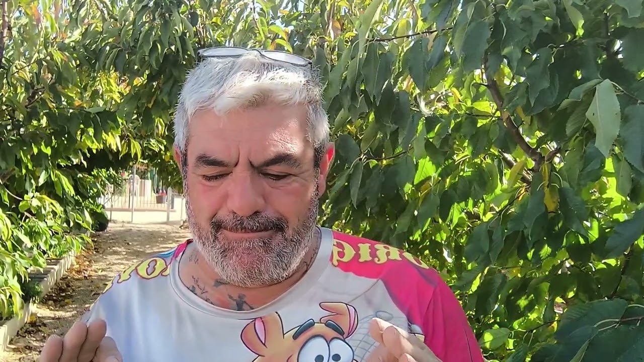 Como cultivar tus ajos, consejos para que tengas éxito.