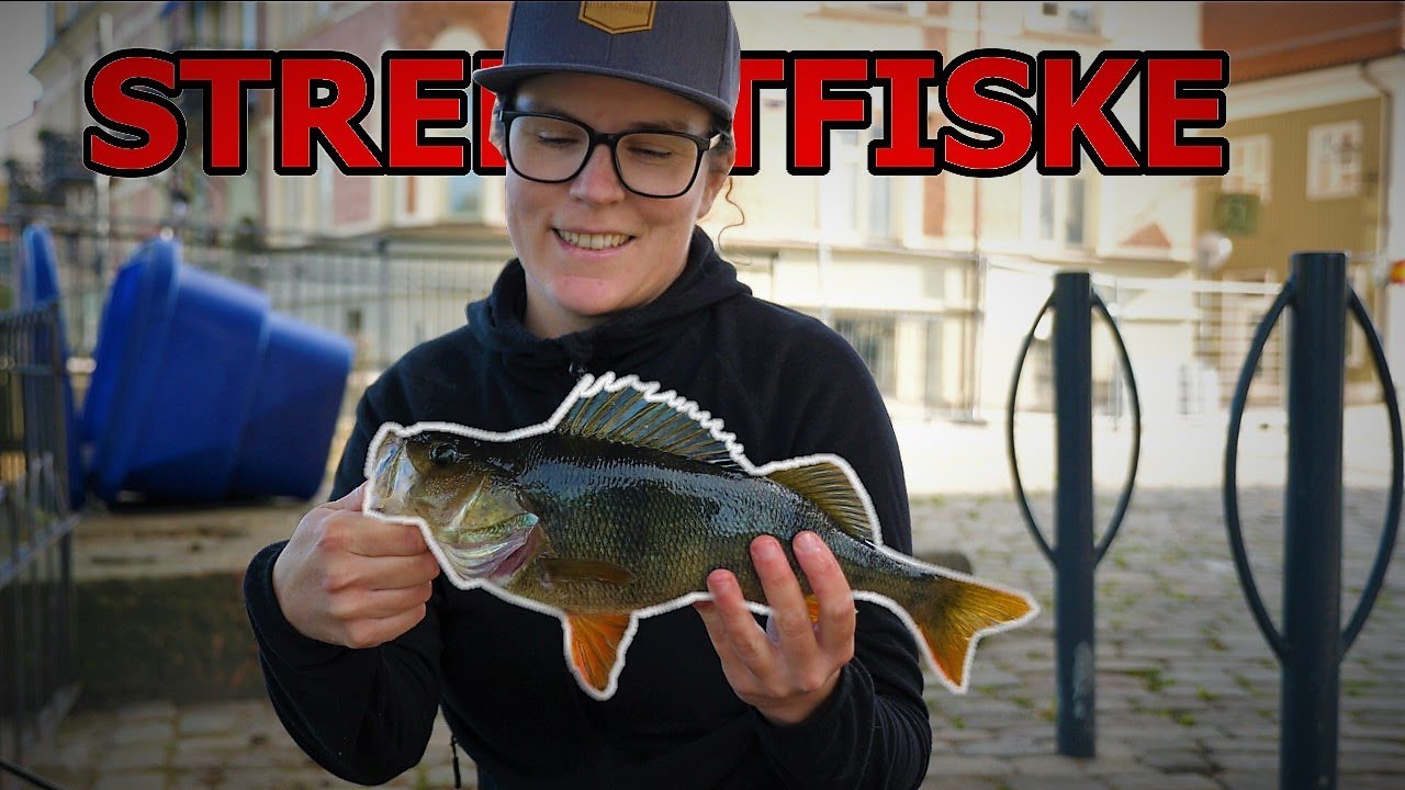 Streetfiske mitt i stan bland cyklar och kundvagnar ?  + namnförslag? [ höst fiske ]