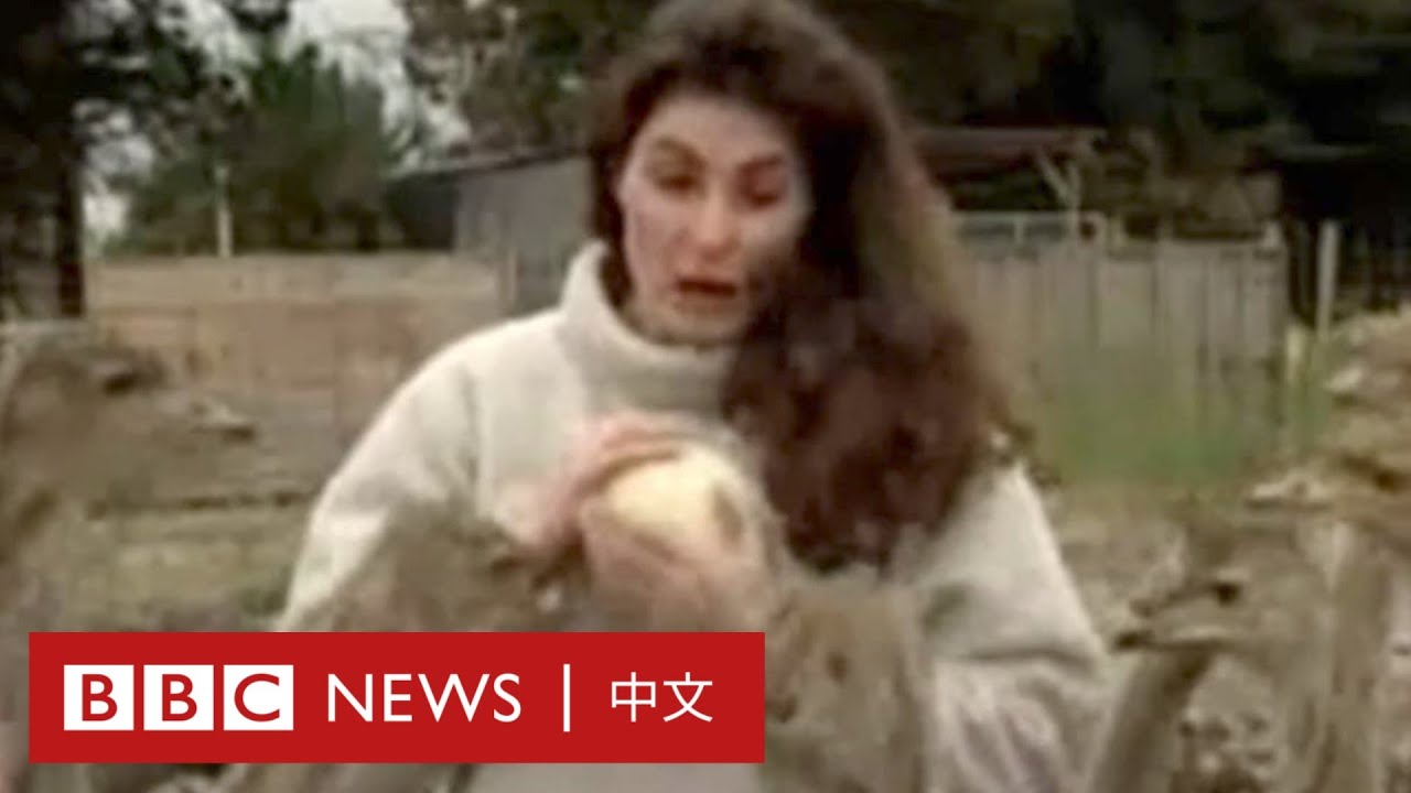 BBC百年：BBC新聞出錯100秒集錦－ BBC News 中文