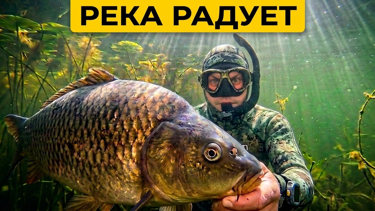 Река радует