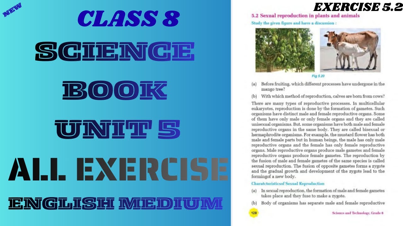 Class 8 Science book unit 5//All Exercise// English Medium\\ Exercise 5.2