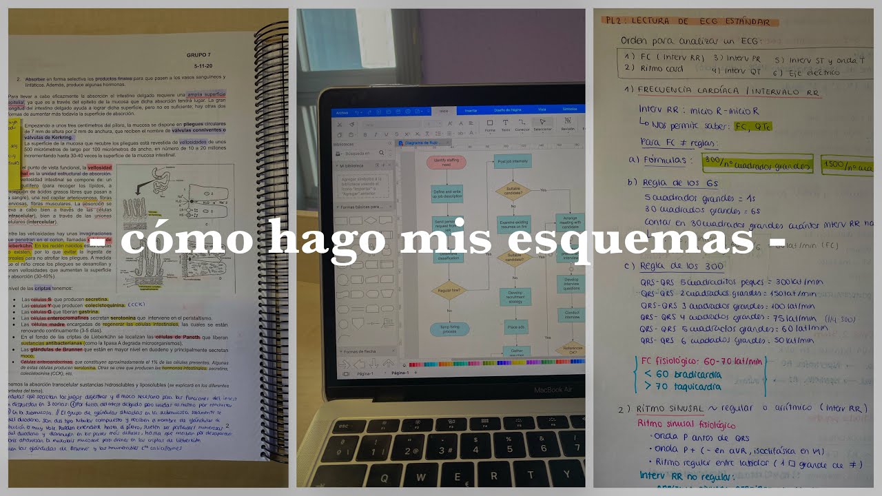 todo sobre mis esquemas y apuntes