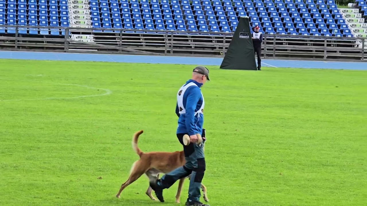 Juha Korri ja Tämä on Kone 